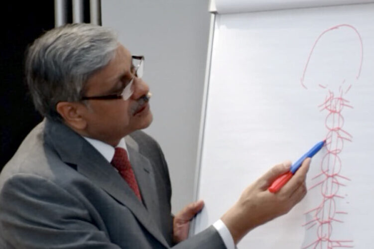 Prof. Dr. Alok Pareek Seminar